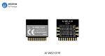 Ai-Thinker модуль Ai-WB2-01M WiFi BLE 5.0