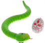 Змея "Rattle snake" на и/к управлении