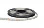 Светодиодная лента LED PROLUM™ RGB 12В IP65 5050/60 Standard PLUS (5м)