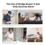 Wi-Fi ZigBee Bridge-P від Sonoff