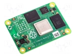 Raspberry Pi Compute Module 4 (CM4) 1ГБ RAM/8ГБ eMMC (CM4001008)